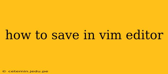 how to save in vim editor