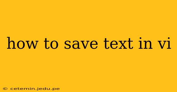 how to save text in vi