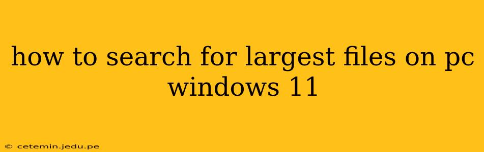 how to search for largest files on pc windows 11