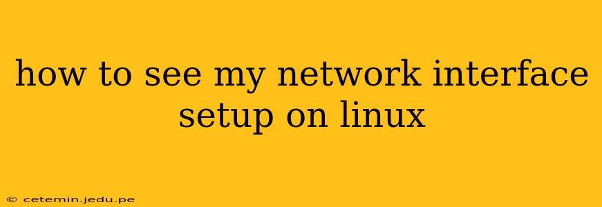 how to see my network interface setup on linux