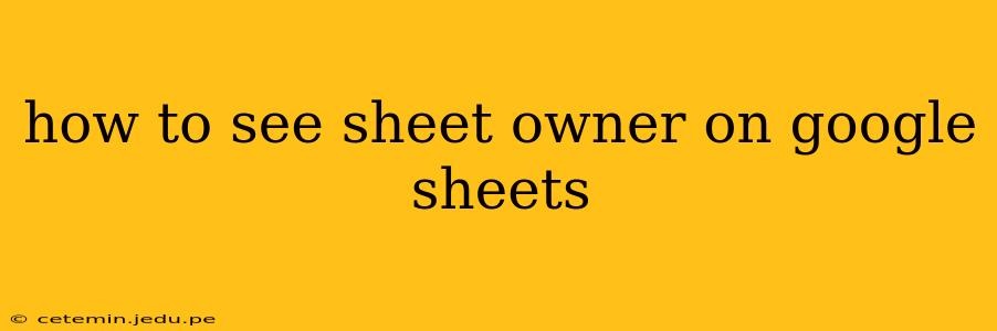 how to see sheet owner on google sheets