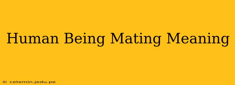 Human Being Mating Meaning