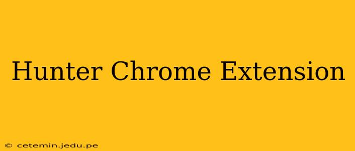 Hunter Chrome Extension
