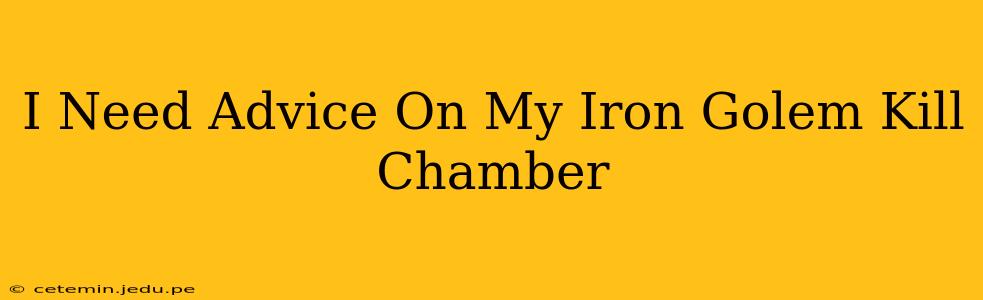 I Need Advice On My Iron Golem Kill Chamber