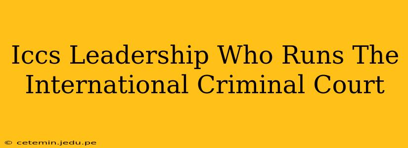 Iccs Leadership Who Runs The International Criminal Court