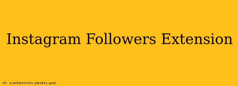 Instagram Followers Extension
