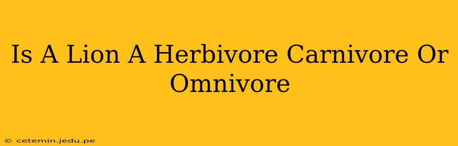 Is A Lion A Herbivore Carnivore Or Omnivore