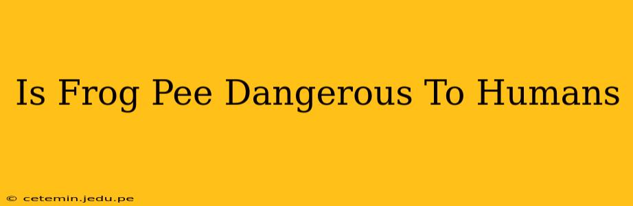 Is Frog Pee Dangerous To Humans
