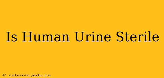 Is Human Urine Sterile