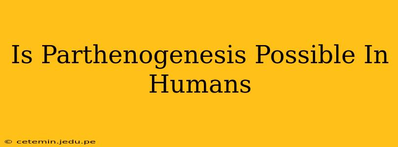 Is Parthenogenesis Possible In Humans
