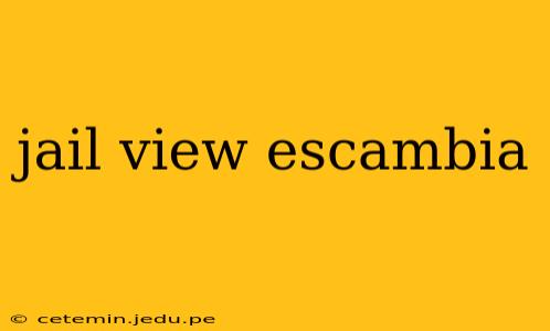 jail view escambia