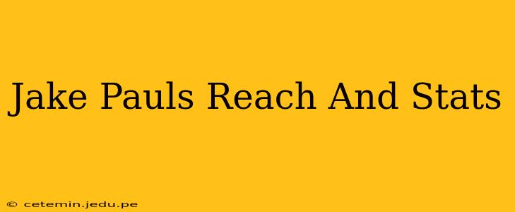 Jake Pauls Reach And Stats