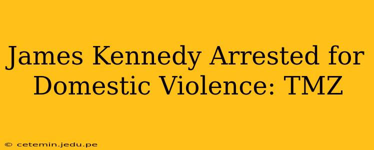 James Kennedy Arrested for Domestic Violence: TMZ