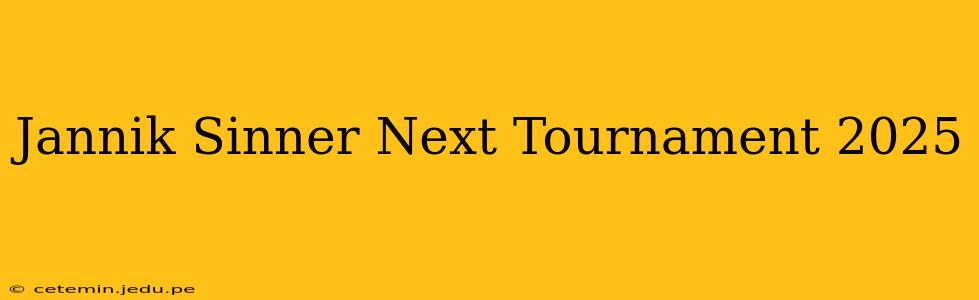 Jannik Sinner Next Tournament 2025