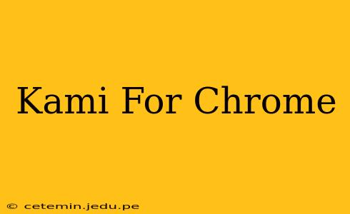 Kami For Chrome