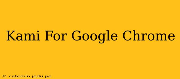 Kami For Google Chrome
