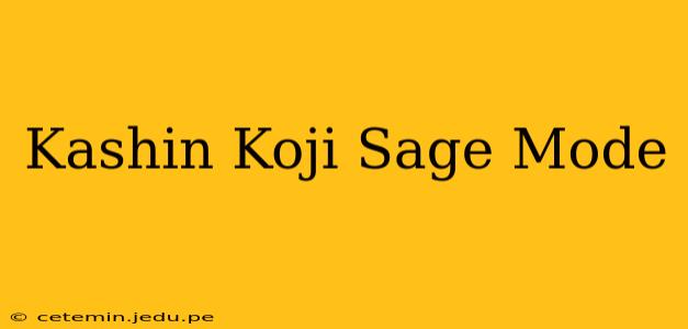 Kashin Koji Sage Mode