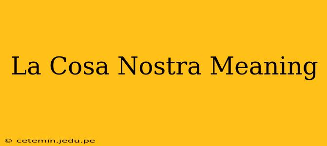La Cosa Nostra Meaning