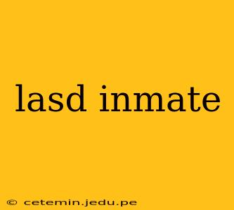 lasd inmate