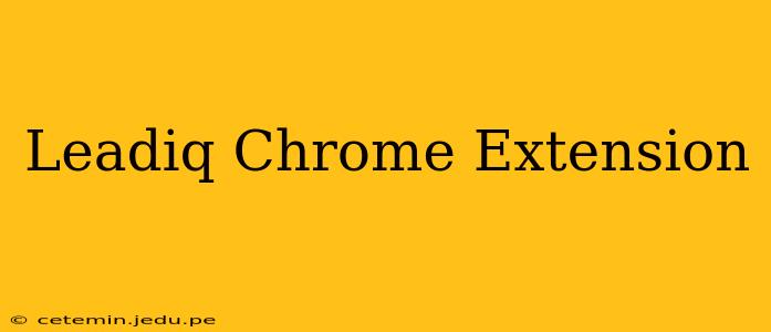 Leadiq Chrome Extension