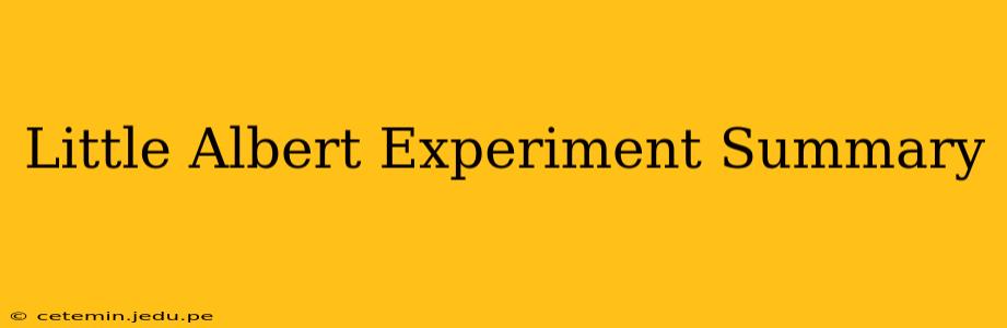 Little Albert Experiment Summary