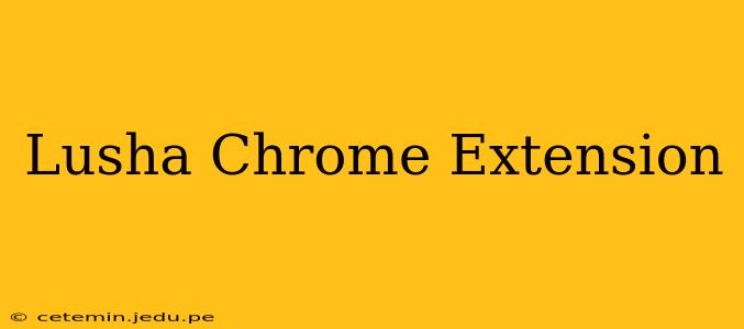 Lusha Chrome Extension