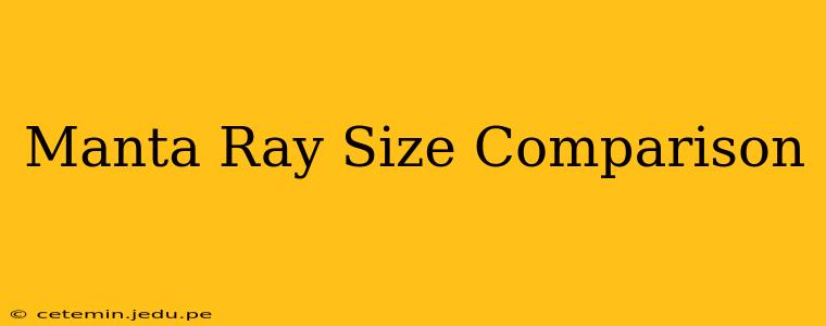 Manta Ray Size Comparison