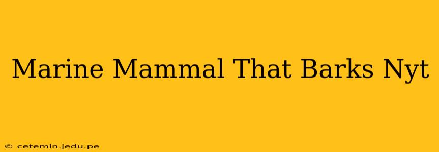 Marine Mammal That Barks Nyt