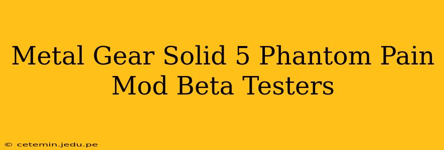 Metal Gear Solid 5 Phantom Pain Mod Beta Testers