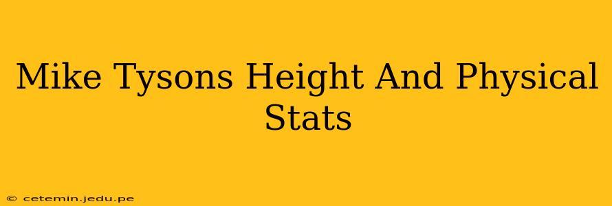 Mike Tysons Height And Physical Stats