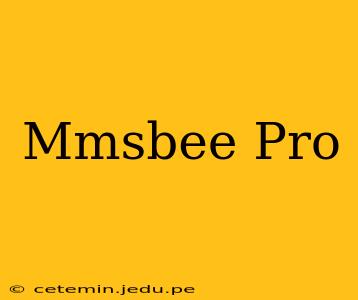 Mmsbee Pro