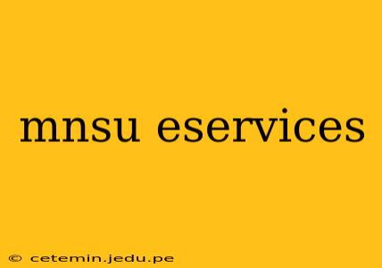 mnsu eservices