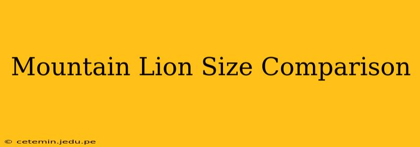 Mountain Lion Size Comparison