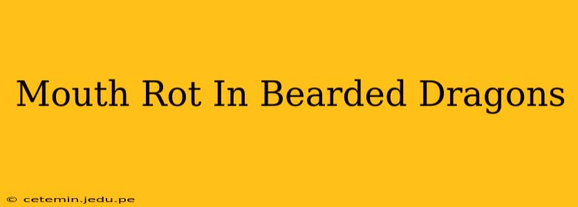 Mouth Rot In Bearded Dragons