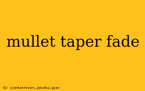 mullet taper fade