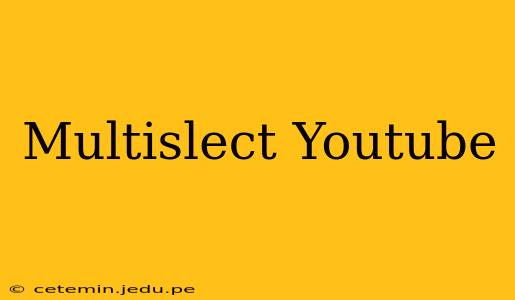 Multislect Youtube