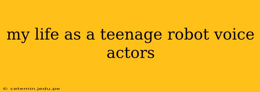 my life as a teenage robot voice actors