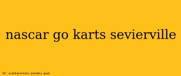 nascar go karts sevierville