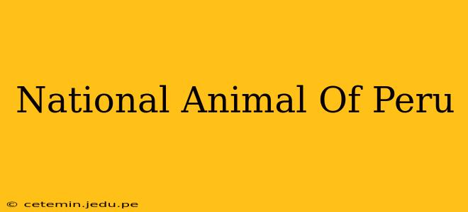 National Animal Of Peru