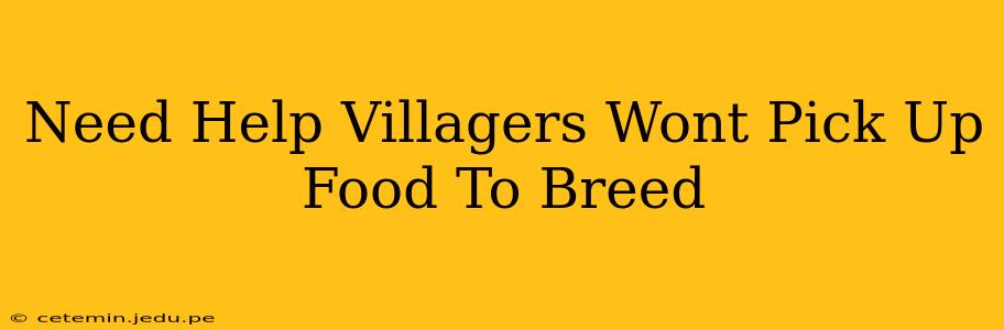 Need Help Villagers Wont Pick Up Food To Breed