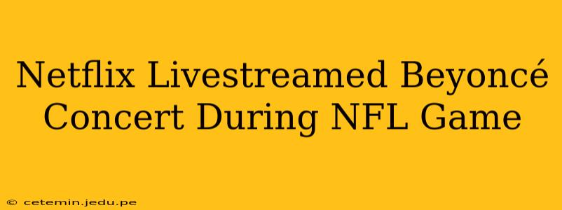 Netflix Livestreamed Beyoncé Concert During NFL Game