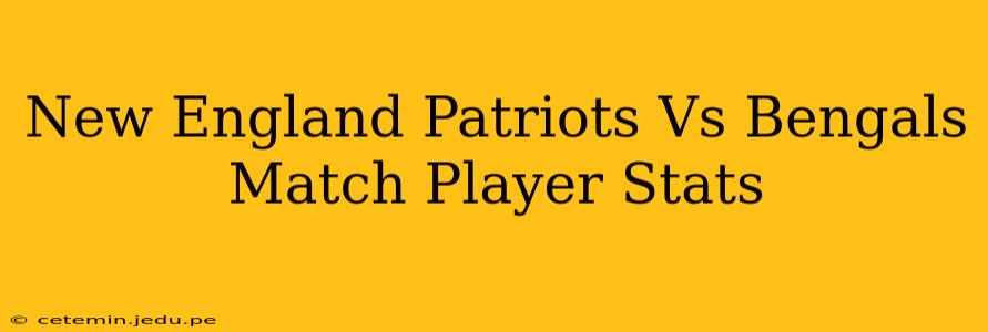 New England Patriots Vs Bengals Match Player Stats