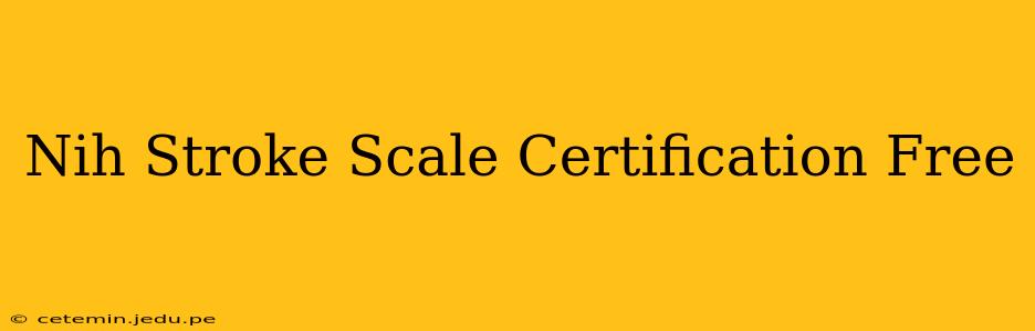 Nih Stroke Scale Certification Free