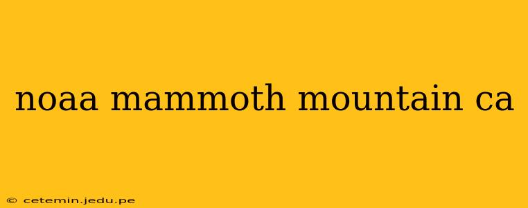 noaa mammoth mountain ca