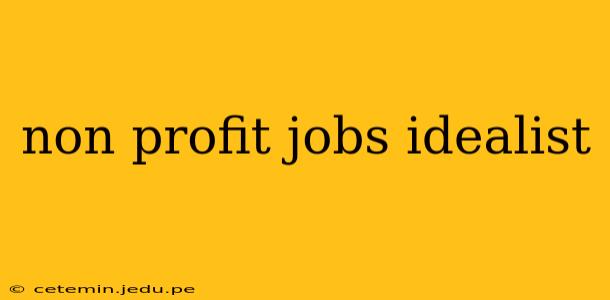non profit jobs idealist