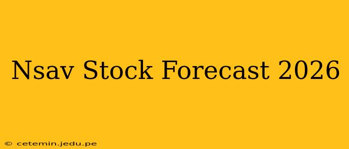 Nsav Stock Forecast 2026