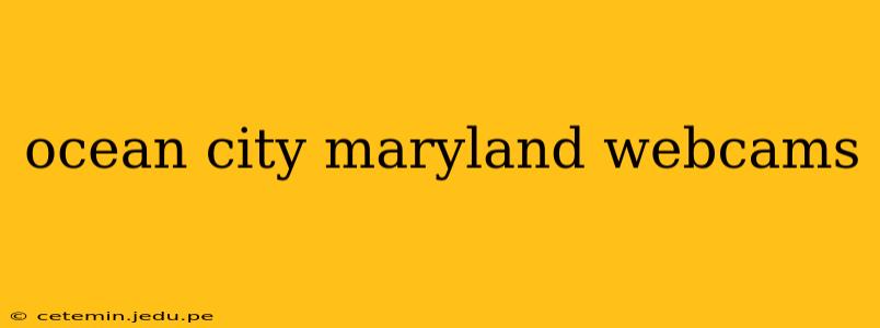ocean city maryland webcams