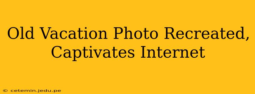 Old Vacation Photo Recreated, Captivates Internet