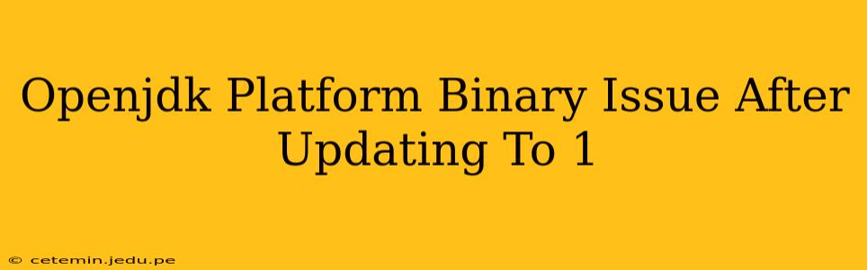 Openjdk Platform Binary Issue After Updating To 1