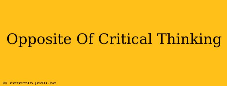 Opposite Of Critical Thinking
